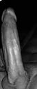 Penis, foto 750x1793, 1 reacties, 3 stemmen