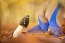 Photoshop van Harry, foto 1769x1181, 4 reacties, 51 stemmen