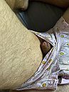 Piep, foto 3000x4000, 4 reacties, 7 stemmen