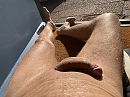 Pik in de zon, foto 4000x3000, 0 reacties, 2 stemmen