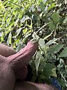 Pik langs de brandnetels, foto 3000x4000, 4 reacties, 14 stemmen
