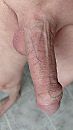 Pik, foto 2160x3840, 5 reacties, 7 stemmen