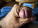 Pis, foto 4000x3000, 2 reacties, 5 stemmen