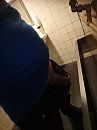 Pisgoot, foto 768x1024, 2 reacties, 4 stemmen