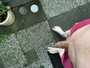 Plantjes water geven, film 00:00:00, 4 reacties, 7 stemmen