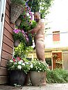 Plantjes water geven, foto 1440x1898, 1 reacties, 2 stemmen