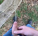Plassen, foto 593x562, 4 reacties, 7 stemmen