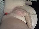 Play time, foto 4000x3000, 4 reacties, 8 stemmen