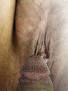 Pornokutje..., foto 3000x4000, 0 reacties, 2 stemmen