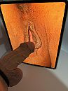 Pre tribute 1, foto 3000x4000, 2 reacties, 3 stemmen