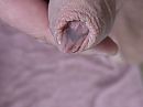 Precum, foto 4000x3000, 2 reacties, 3 stemmen