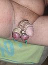 Prik, foto 3000x4000, 1 reacties, 3 stemmen