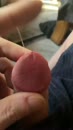 Pure geilheid, film 00:00:11, 0 reacties, 3 stemmen