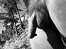 Puur natuur, foto 640x480, 1 reacties, 4 stemmen