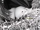 Puur natuur...., foto 2560x1920, 4 reacties, 19 stemmen