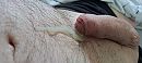 Ready, foto 4000x1802, 4 reacties, 4 stemmen