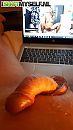Relax en lekker, foto 309x550, 2 reacties, 7 stemmen