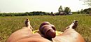 Relaxen in het zonnetje, foto 3786x1764, 2 reacties, 16 stemmen