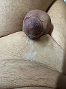 Resultaat, foto 3000x4000, 3 reacties, 7 stemmen