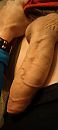 Ride me, foto 1800x4000, 2 reacties, 7 stemmen