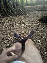 Rondje hardlopen in het bos, foto 3000x4000, 1 reacties, 8 stemmen