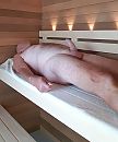 Sauna deur gaat open, foto 1917x2288, 12 reacties, 14 stemmen
