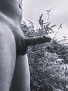Amateur sex