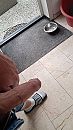 Showen, foto 2250x4000, 1 reacties, 5 stemmen Showen, foto 2250x4000, 1 reacties, 5 stemmen