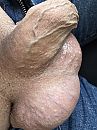 Slap.... Heel slap, foto 3000x4000, 2 reacties, 1 stemmen