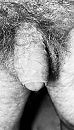 Soft, foto 2291x4000, 4 reacties, 7 stemmen