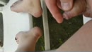 Spelen, film 00:00:15, 0 reacties, 1 stemmen
