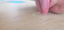 Sperma, foto 4000x1931, 2 reacties, 2 stemmen