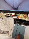 Spuitprent., foto 3000x4000, 2 reacties, 1 stemmen