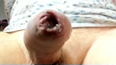 Spuitvideo, film 00:00:00, 5 reacties, 7 stemmen
