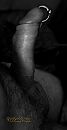 Staande ovatie..., foto 2082x4000, 2 reacties, 7 stemmen Staande ovatie..., foto 2082x4000, 2 reacties, 7 stemmen