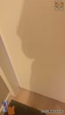 Stel, film 00:00:25, 9 reacties, 51 stemmen