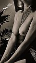 Stemming, foto 1200x2069, 4 reacties, 13 stemmen
