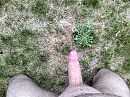 Stijf, foto 3264x2448, 4 reacties, 7 stemmen