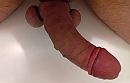 Strakke pik, foto 2701x1734, 7 reacties, 15 stemmen
