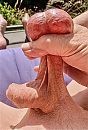 Stretchen…, foto 2712x3998, 4 reacties, 5 stemmen