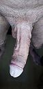 Tast toe!, foto 1613x3304, 6 reacties, 12 stemmen