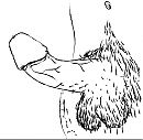 Tekening, foto 908x891, 0 reacties, 2 stemmen