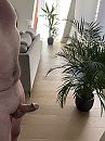 Ter verificatie (1), foto 2316x3088, 4 reacties, 10 stemmen