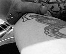 The snake knows where to lick, foto 2711x2229, 0 reacties, 3 stemmen