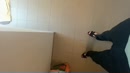 Think she liked it?, film 00:00:00, 4 reacties, 11 stemmen