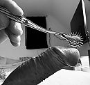 Tickling .., foto 2406x2268, 3 reacties, 3 stemmen