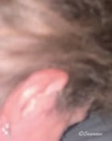 Tijdens avondje uit....., film 00:00:00, 52 reacties, 223 stemmen