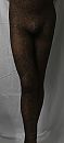 Tijgerpanty 01, foto 718x1569, 0 reacties, 8 stemmen