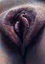 Tong er tussen?, foto 1022x1449, 3 reacties, 14 stemmen