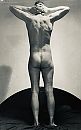 Totale overgave, foto 1945x3088, 1 reacties, 3 stemmen